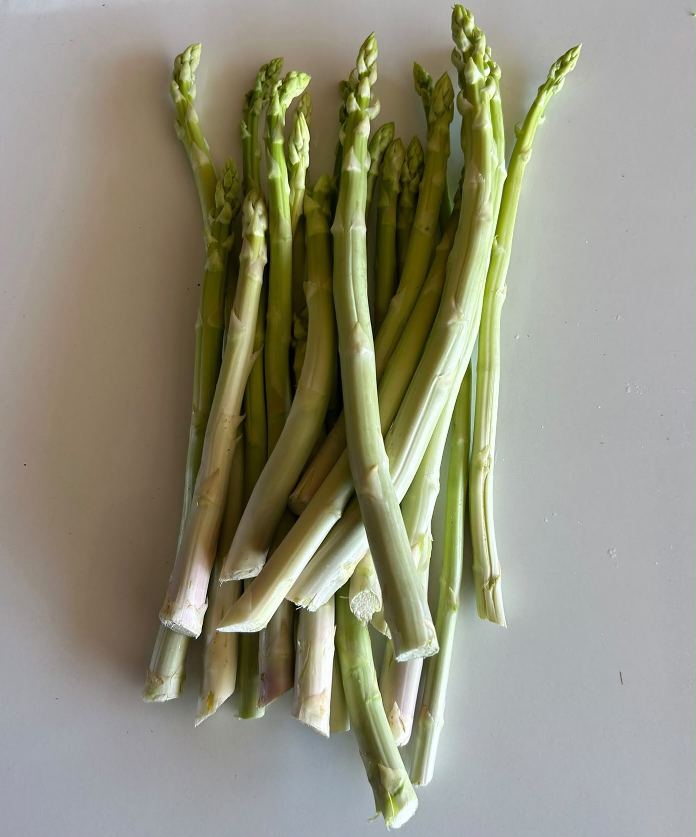 Kalp Tarım asparagus product photo 1
