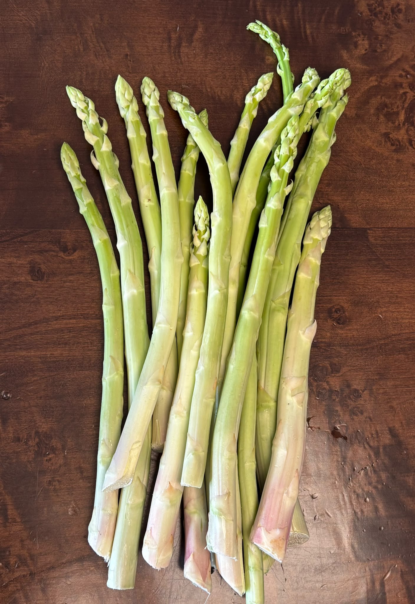 Kalp Tarım asparagus product photo 2