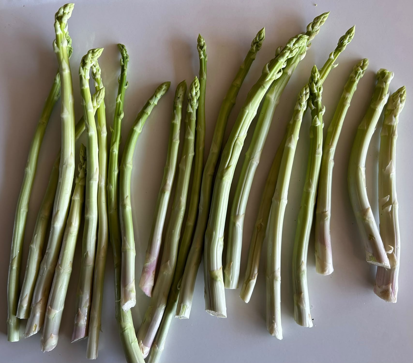 Kalp Tarım asparagus product photo 3